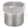 Hex Head Plug