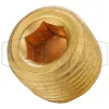 Hex Socket Plug