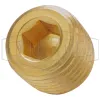 Hex Socket Plug