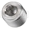 Hex Socket Plug