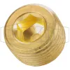 Hex Socket Plug