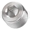 Hex Socket Plug