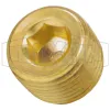 Hex Socket Plug