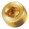 Hex Socket Plug