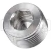 Hex Socket Plug