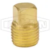 Square Head Plug