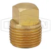 Square Head Plug