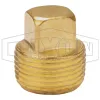 Square Head Plug