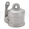 Dixon Cam & Groove Type DC Dust Cap