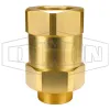 Safety Check Valve