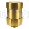 Safety Check Valve
