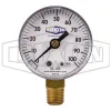 abs-standard-dry-lower-mount-gauge_gl125_color_lg_watermarked.jpg