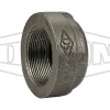NPT Threaded Cap