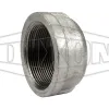 NPT Threaded Cap
