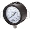 process-gauge_pgs160_color_lg_watermarked.jpg