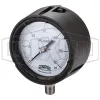 process-gauge_pgs60_color_lg_watermarked.jpg