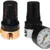 Watts Miniature Regulator