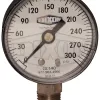 ABS Standard Dry Lower Mount Gauge