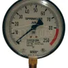 sprinkler system gauge_swrg80-250-4