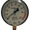 sprinkler_system_gauge_swrg80-250-4