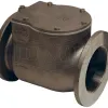 Bayco® Classic 3000-Series Swing Check Valve Female NPT