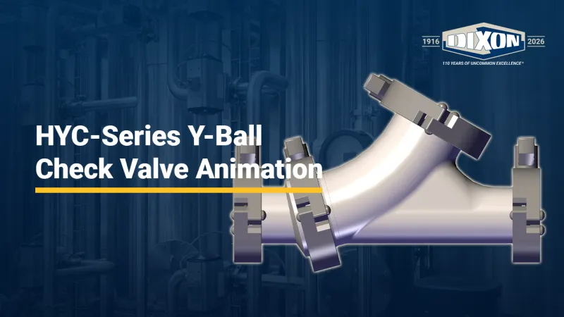 HYC-Series Y-Ball Check Valve Animation