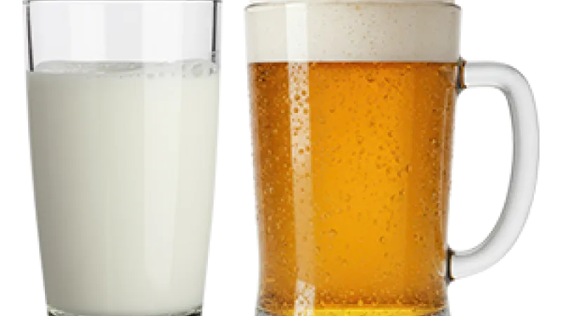 Glass of milk and glass of beer side by side